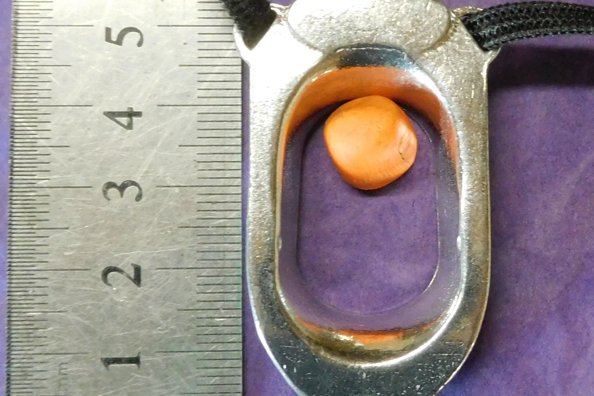 BDSM Clitoral Restraint, Custom Engraved.