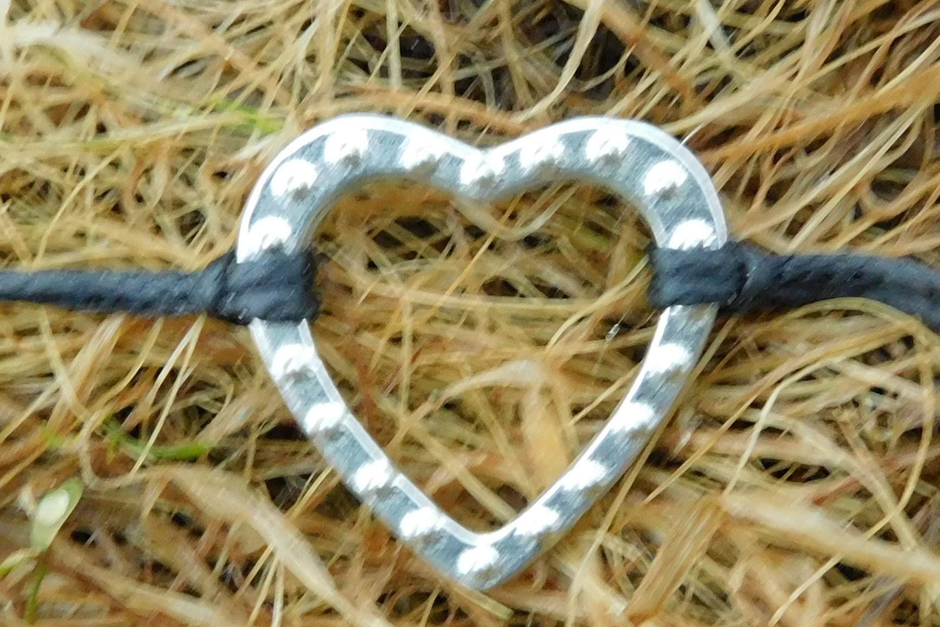 Heart Shaped Day Collar  – Symbol of Commitment and Trust. Hand Cast Pewter.